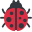 lady beetle